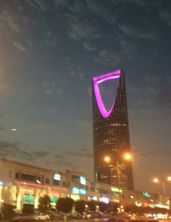 Kindom Tower(Highest Building of Riyadh with 100 floors) (33K)