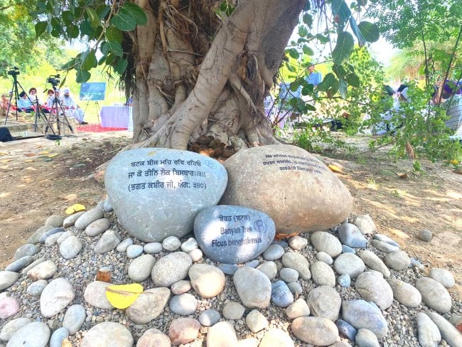 baag Stones at EcoSikh Garden.jpg