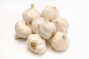 garlic (3K)