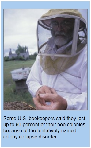 Beekeepers (95K)